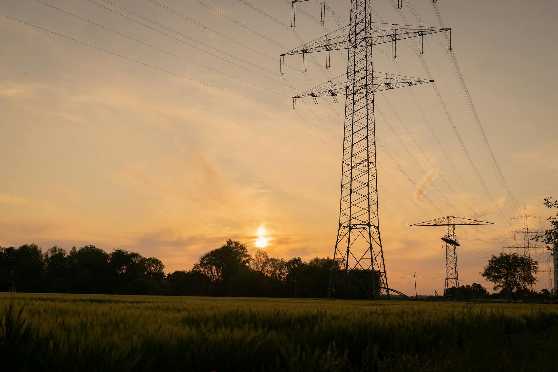 view of a meadow with utility poles and trees in the countryside at sunset